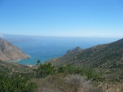 Whites Catalina 2005 04894.JPG: 2005/07/25 - Catalina - 2005